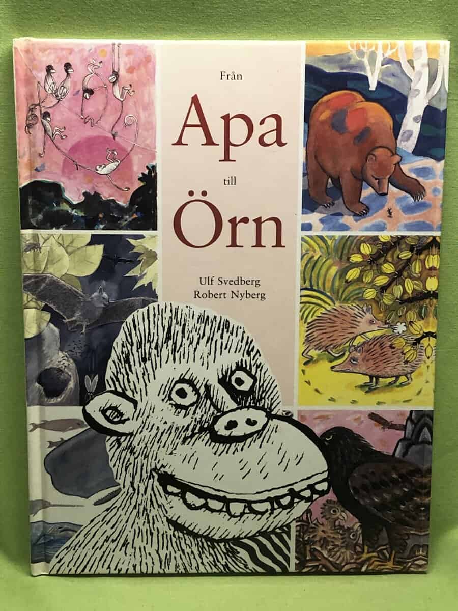 Ulf Svedberg : Från apa till örn