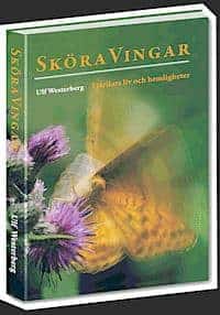 Ulf Westerberg : SKÖRA VINGAR Fjärilars liv och hemligheter