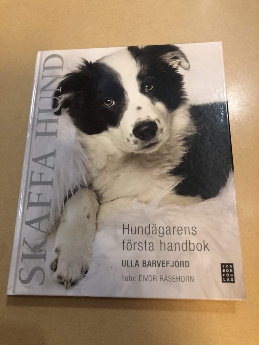Ulla Barvefjord : Skaffa hund hundägarens första handbok