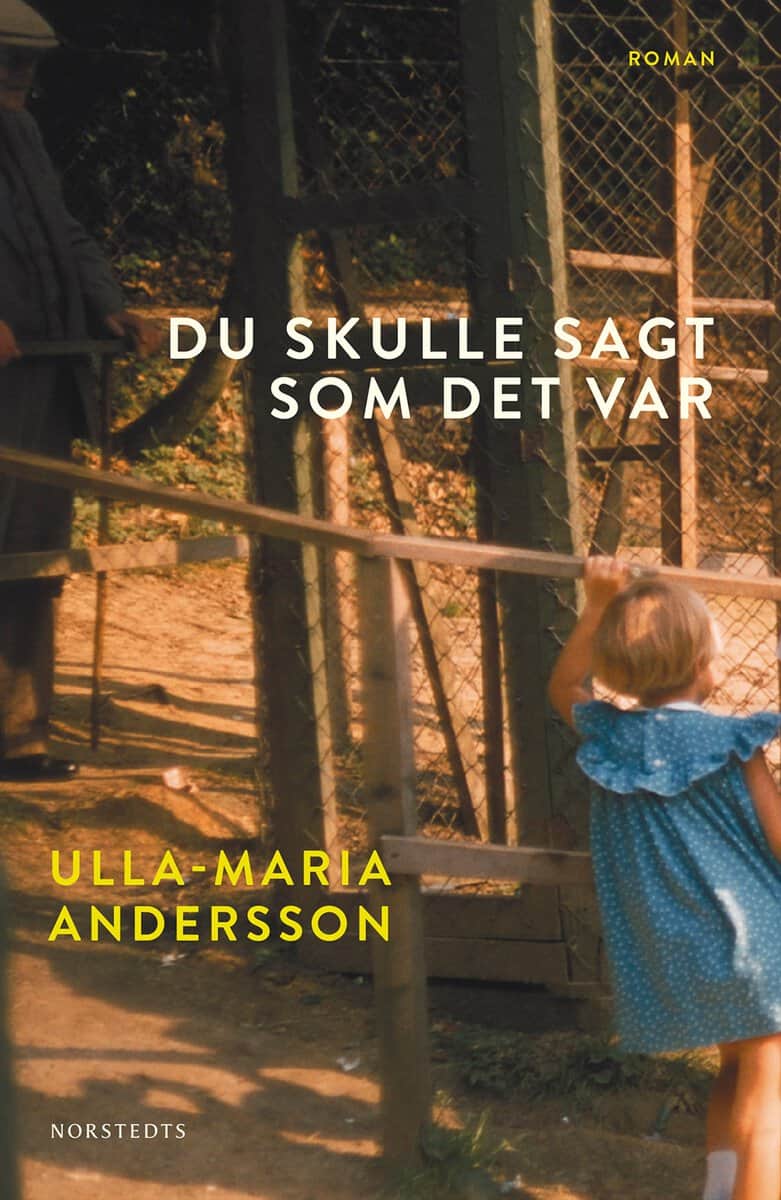 Ulla-Maria Andersson : Du skulle sagt som det var