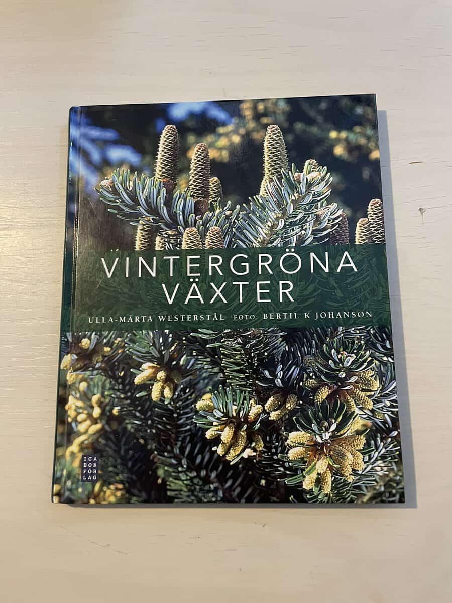 Ulla-Märta Westerstål : Vintergröna växter