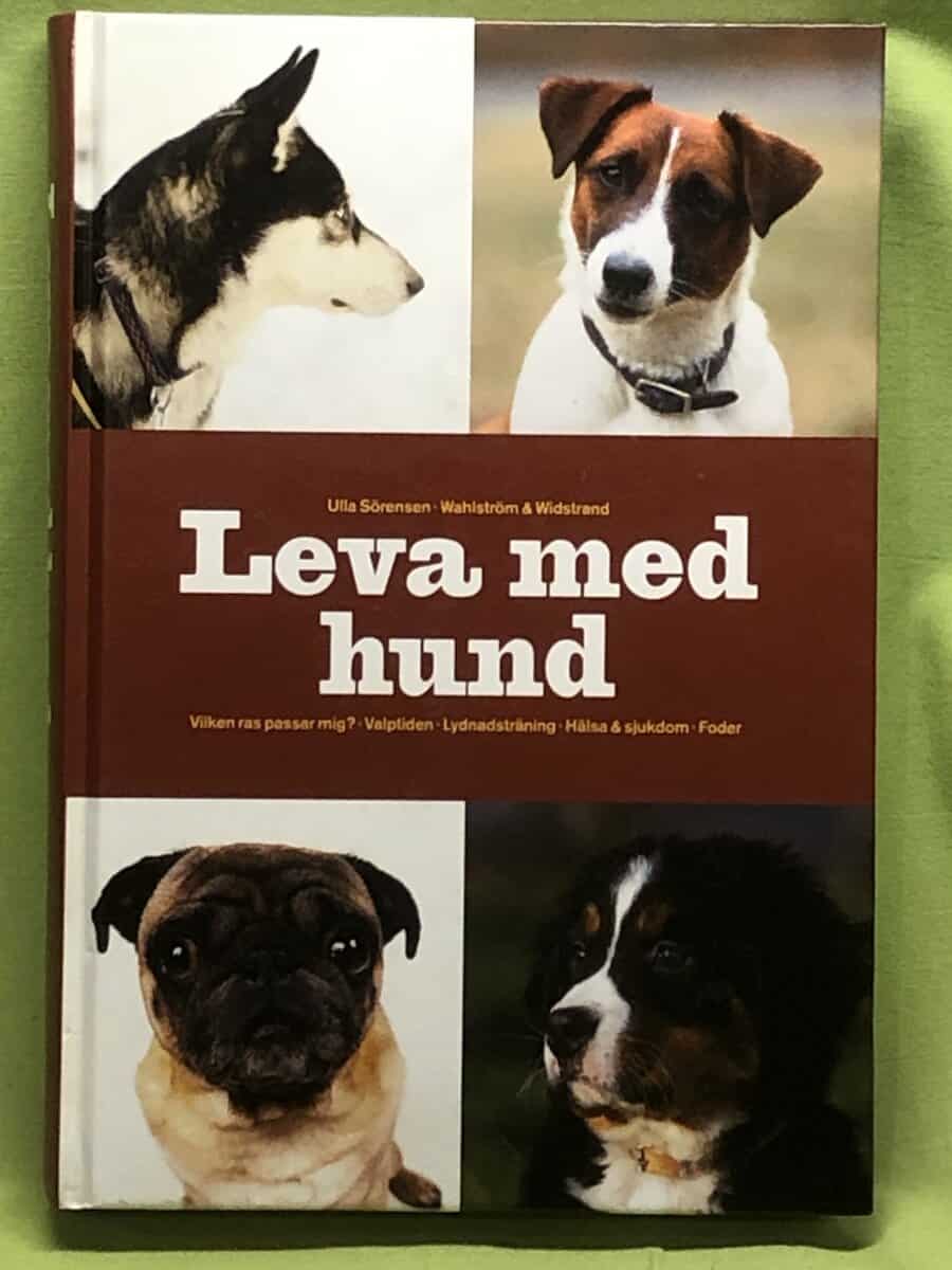 Ulla Sörensen : Leva med hund