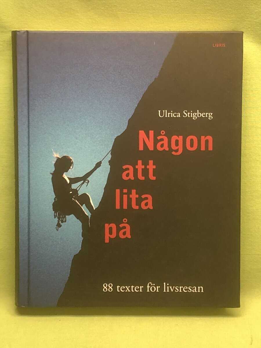 Ulrica Stigberg : Någon att lita på