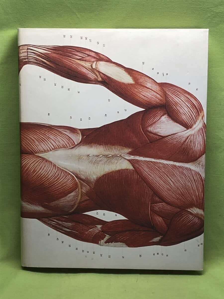 Ulrik Samuelson : Ulrik Samuelson