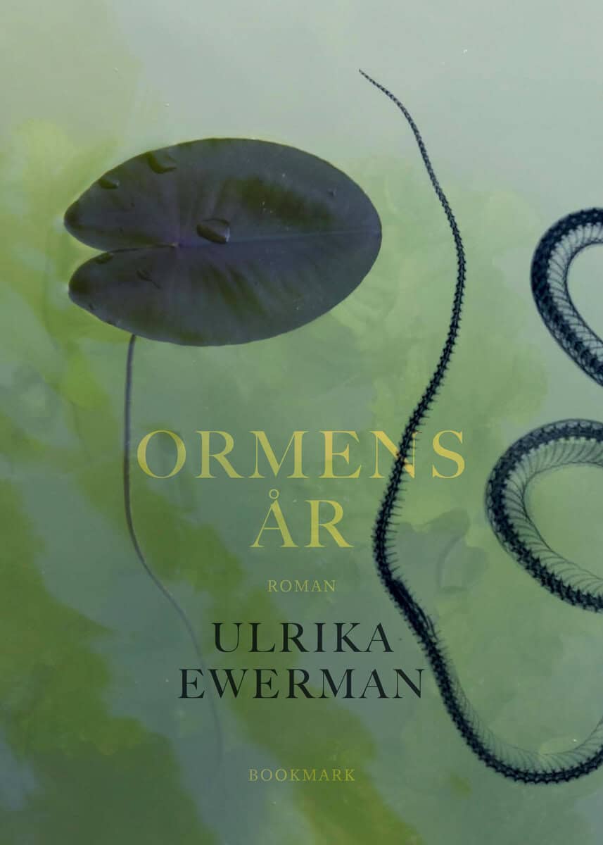 Ulrika Ewerman : Ormens år