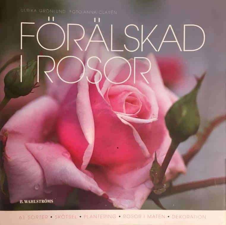 Ulrika Grönlund : Förälskad i rosor
