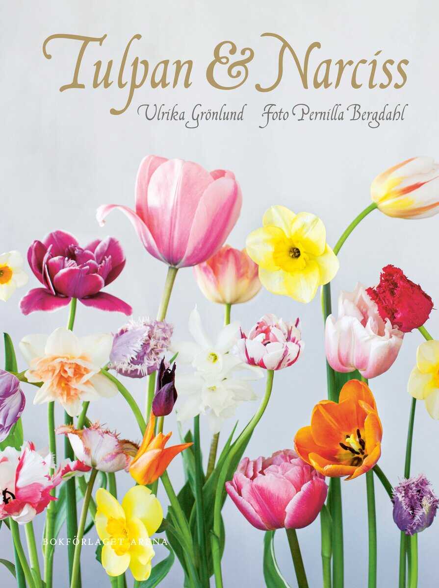 Ulrika Grönlund : Tulpan & narciss