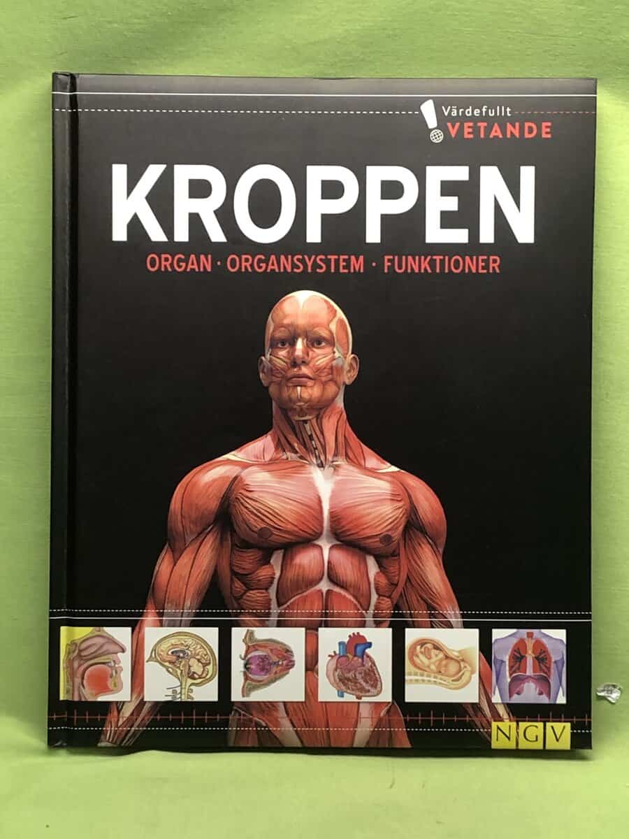 Ulrika Junker Miranda : Kroppen