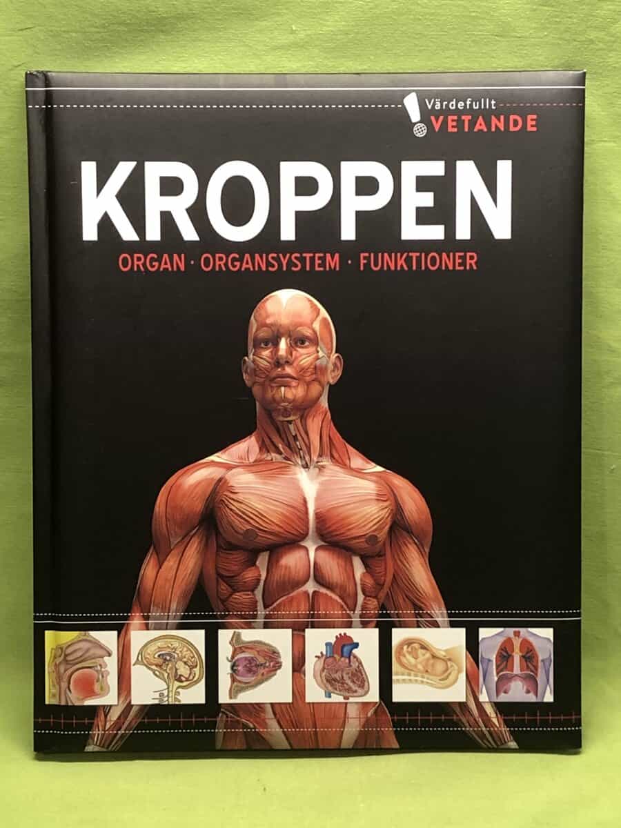 Ulrika Junker Miranda : Kroppen