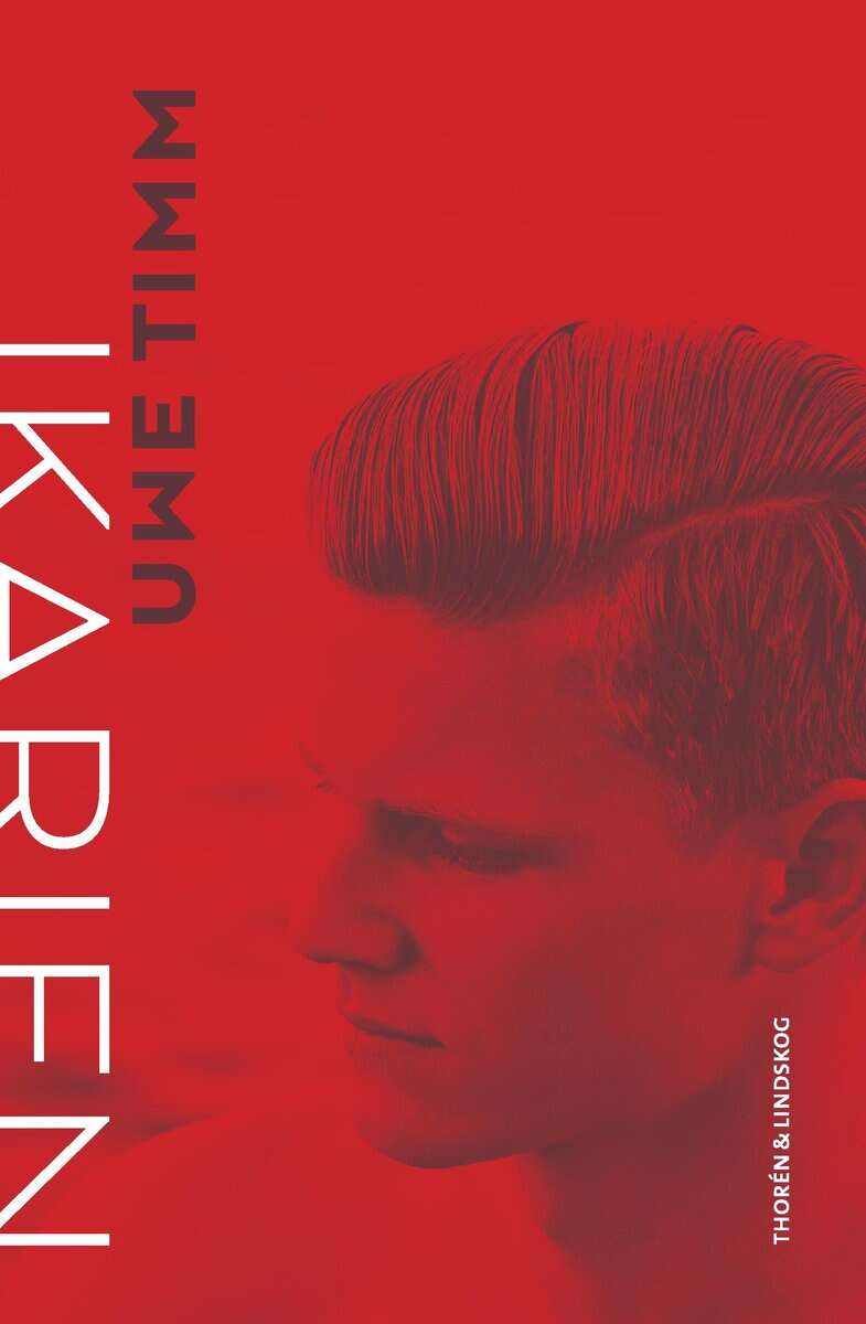 Uwe Timm : Ikarien