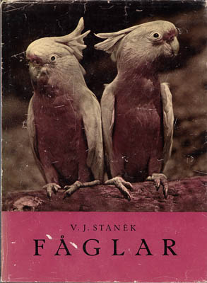 V. J Stanek : Fåglar