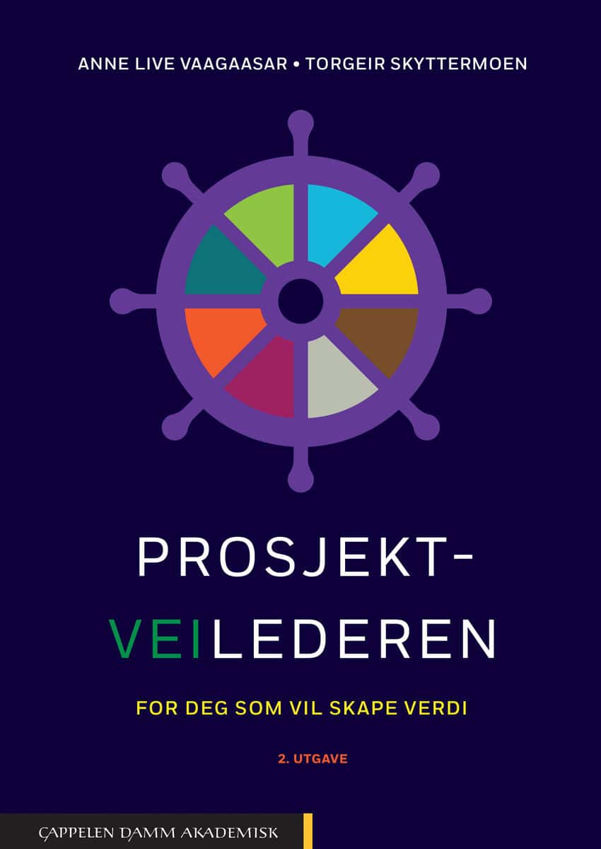 Vaagaasar, Anne Live ; Skyttermoen, Torgeir : Prosjektveilederen