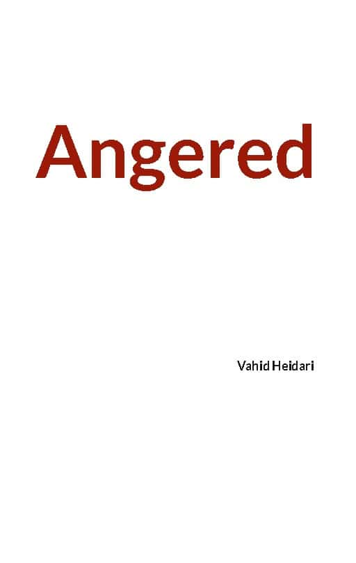 Vahid Heidari : Angered