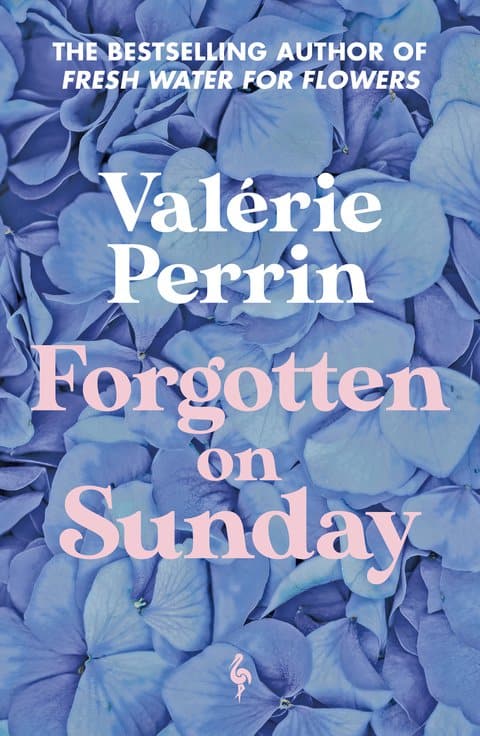 Valérie Perrin : Forgotten on Sunday