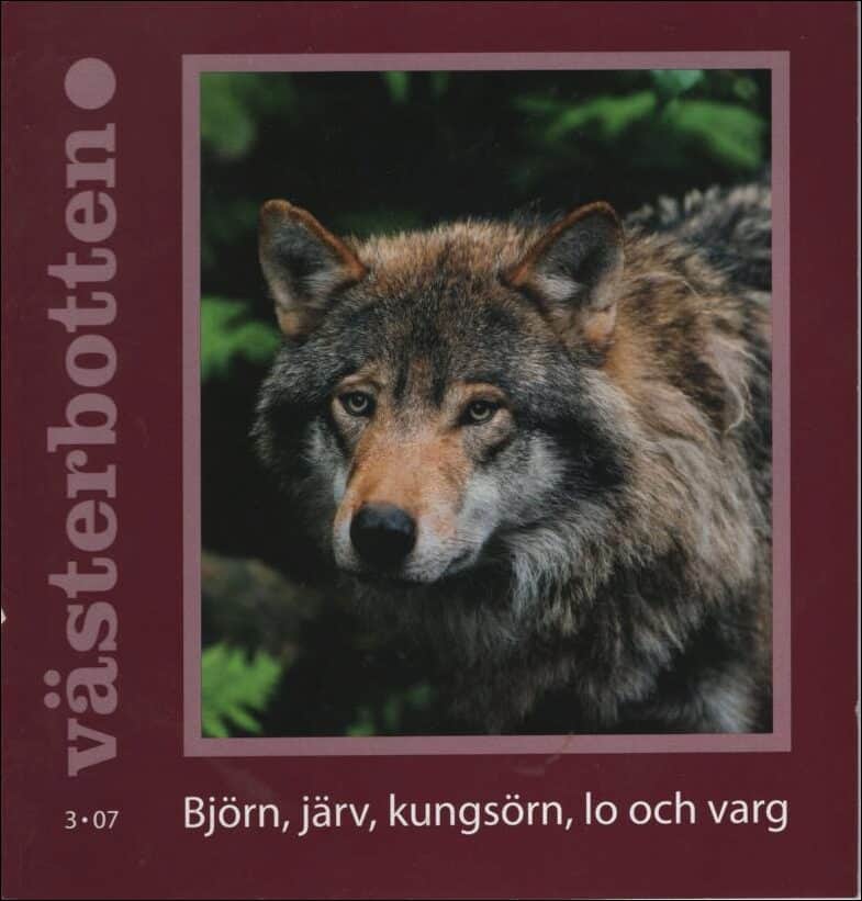 Västerbotten : 2007 / 3