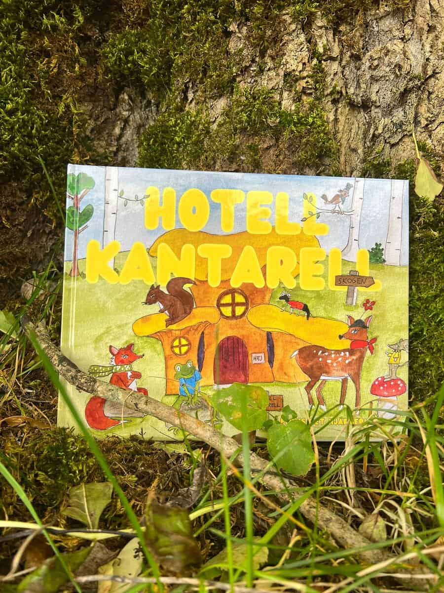 Vendela Skarpvold Fouchenette : Finns det hjärterum...