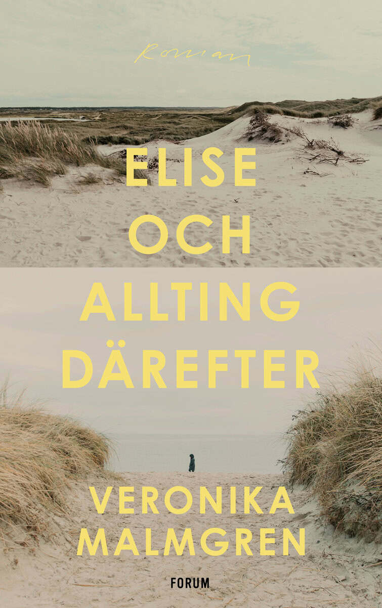 Veronika Malmgren : Elise och allting därefter