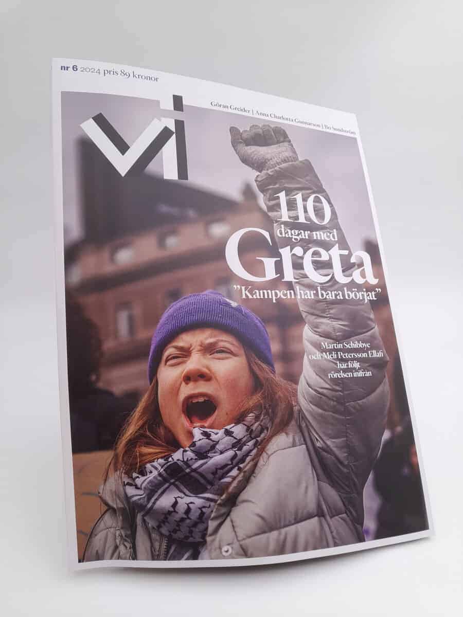 Vi : 2024/6