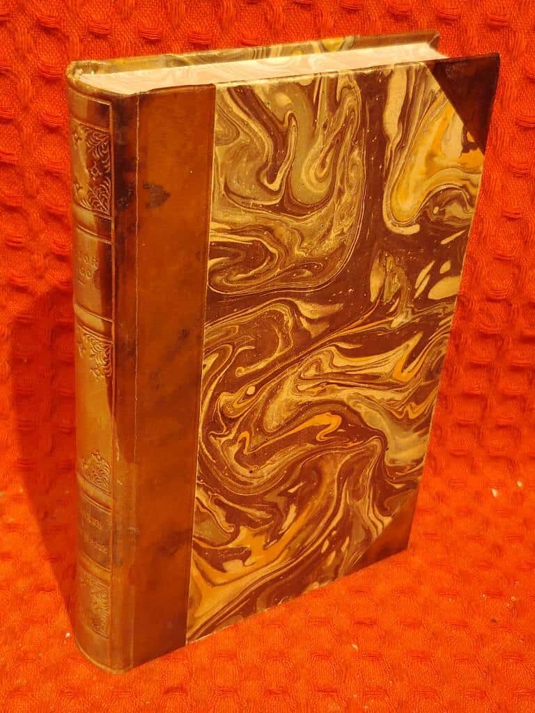 Victor Hugo : Ringaren i Notre Dame