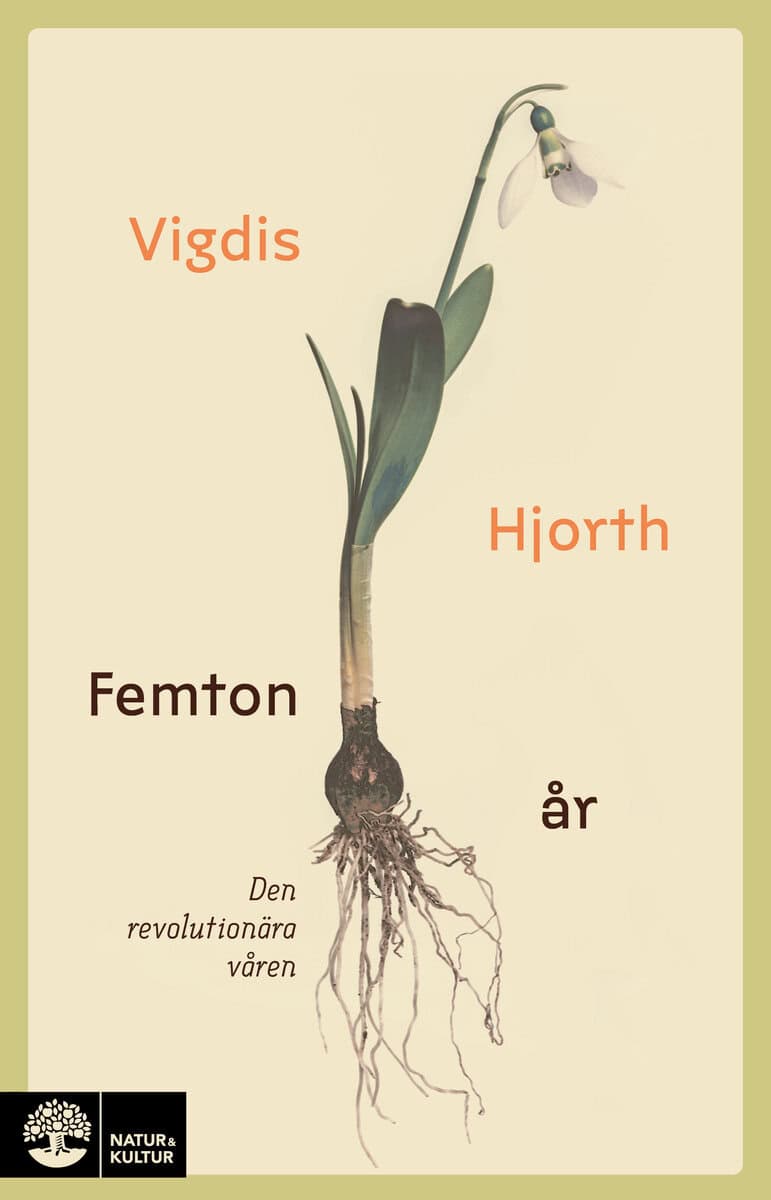 Vigdis Hjorth : Femton år : den revolutionära våren