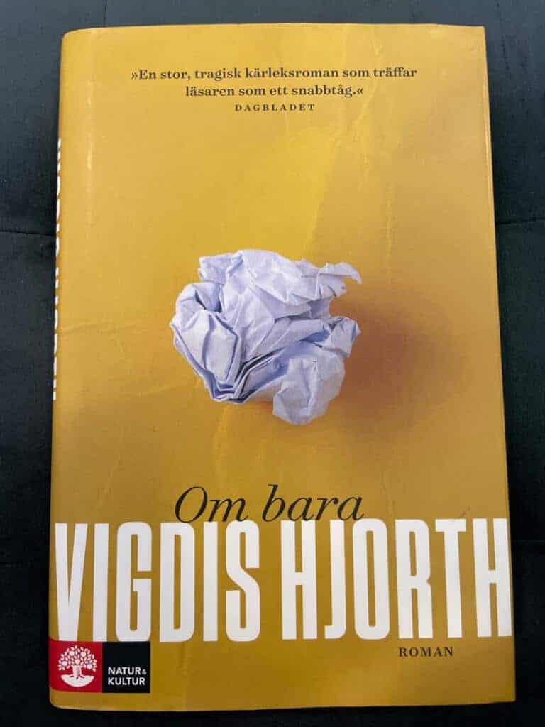 Vigdis Hjorth : Om bara