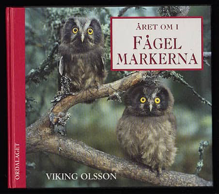 Viking Olsson : Året om i fågelmarkerna