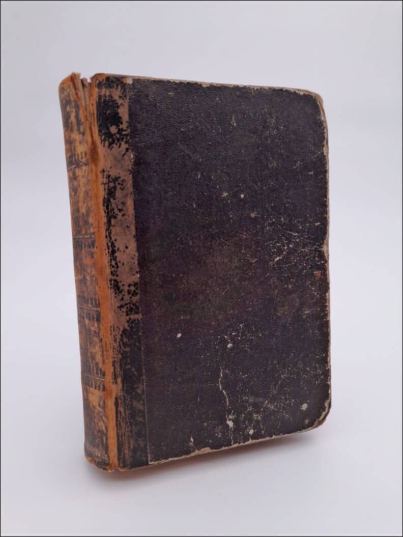 Viktor Rydberg : Den siste athenaren