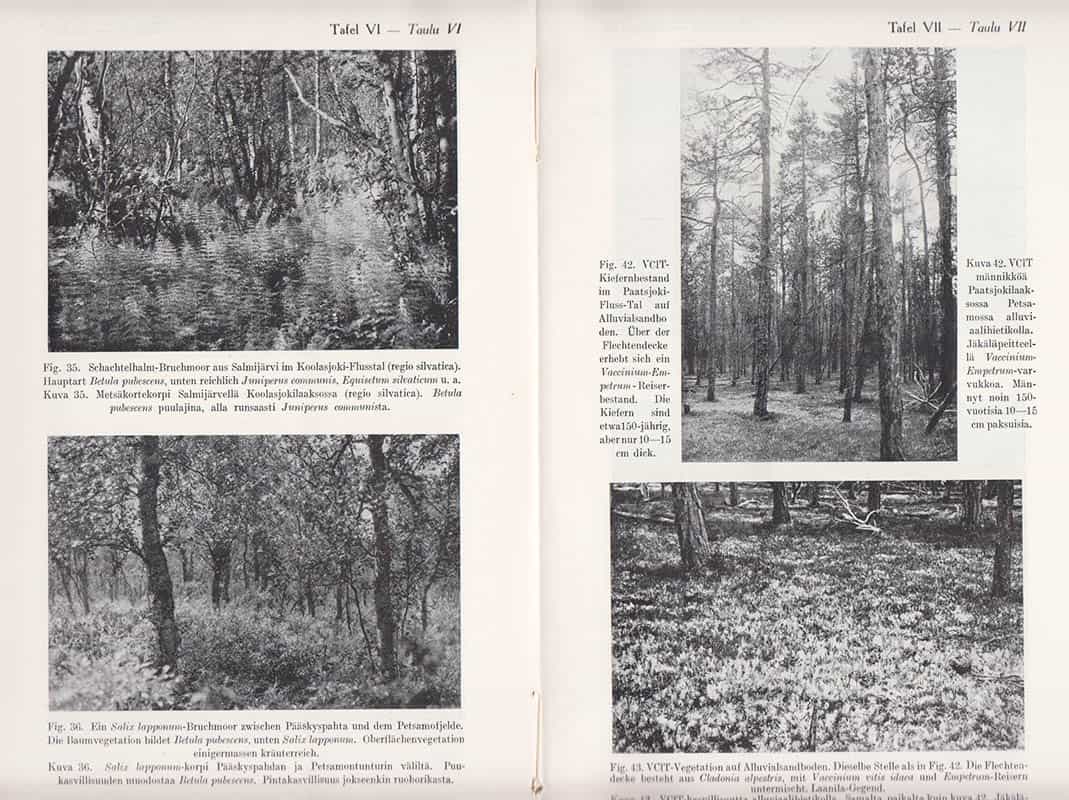 Viljo Kujala : Untersuchungen über Waldtypen in Petsamo und in angrenzenden Teilen von Inari-Lappland