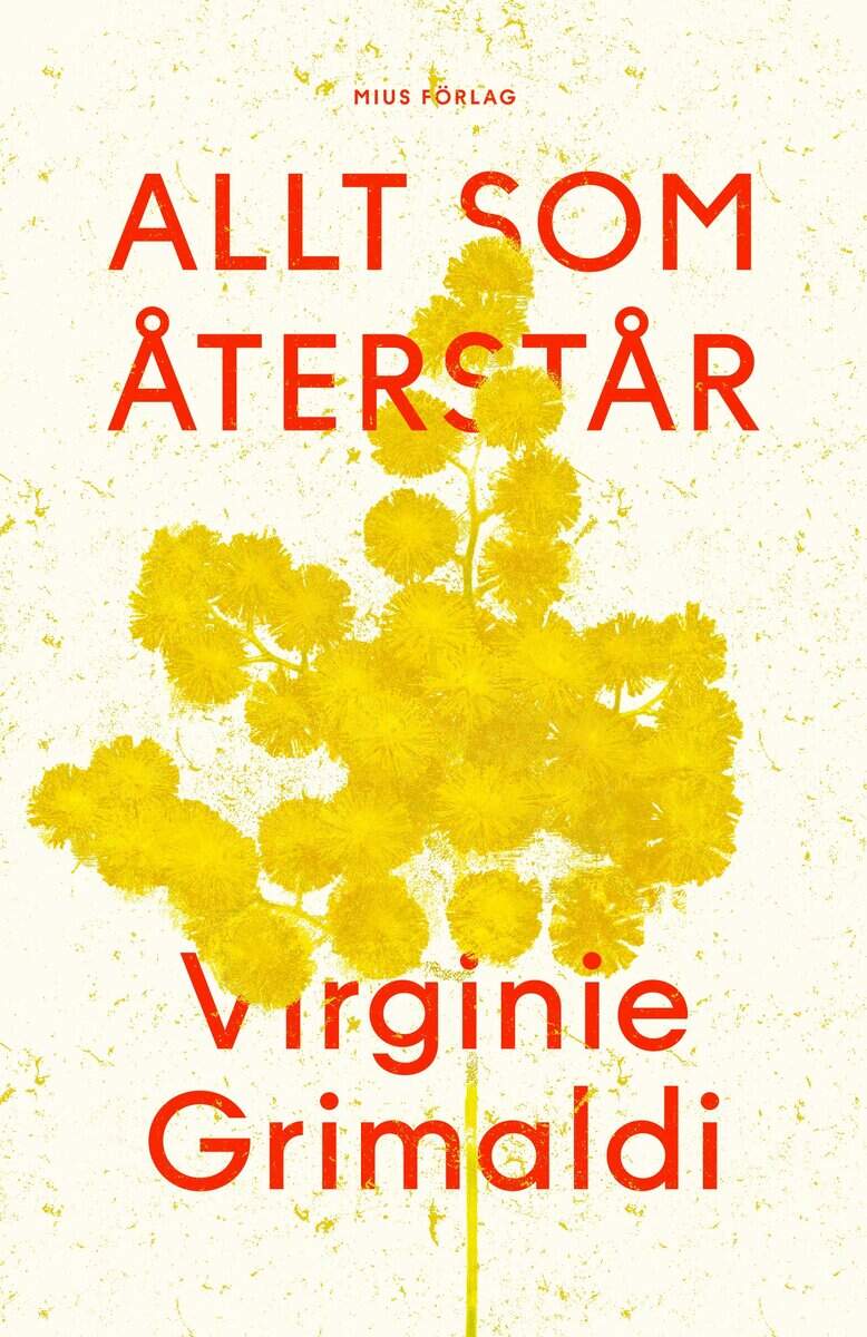 Virginie Grimaldi : Allt som återstår