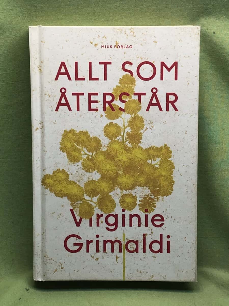 Virginie Grimaldi : Allt som återstår