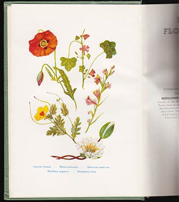 Vivi Täckholm : Students' flora of Egypt