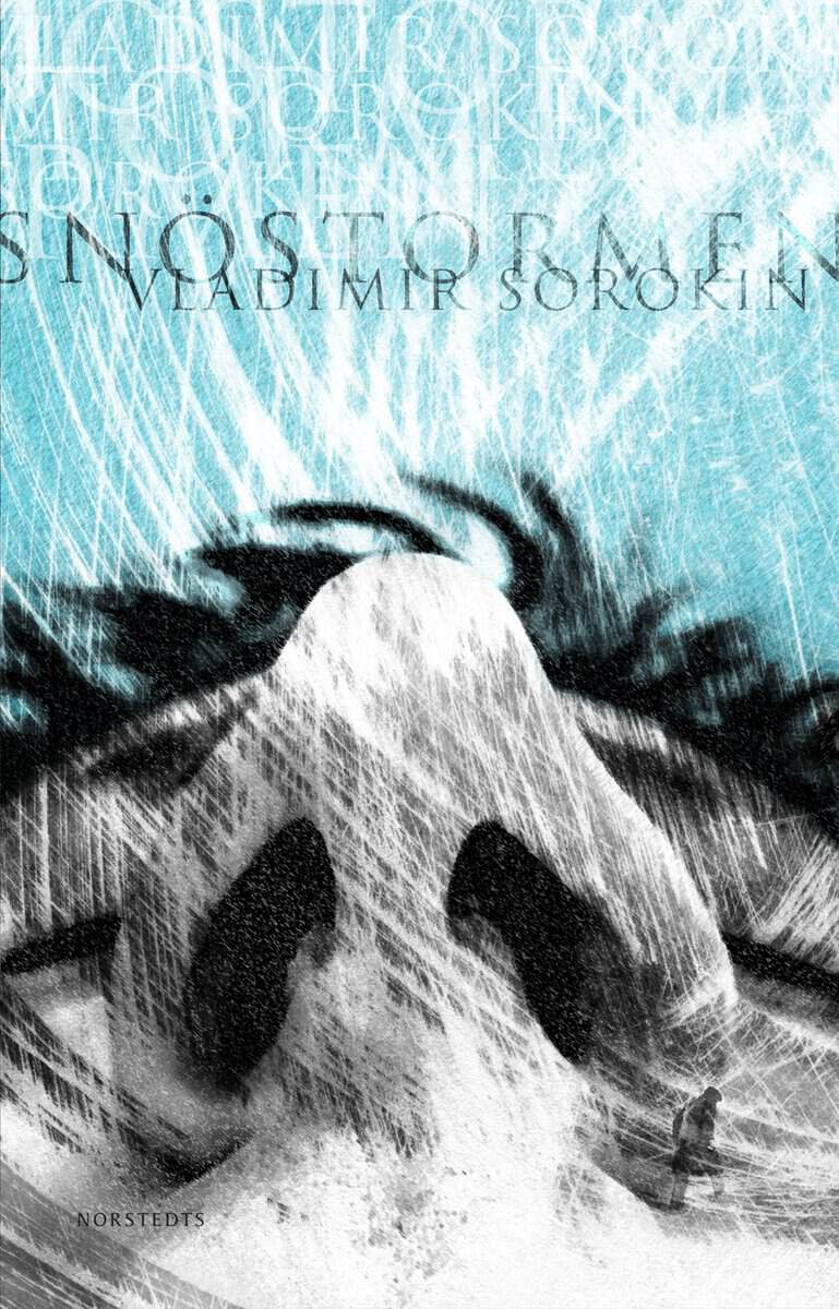 Vladimir Sorokin : Snöstormen