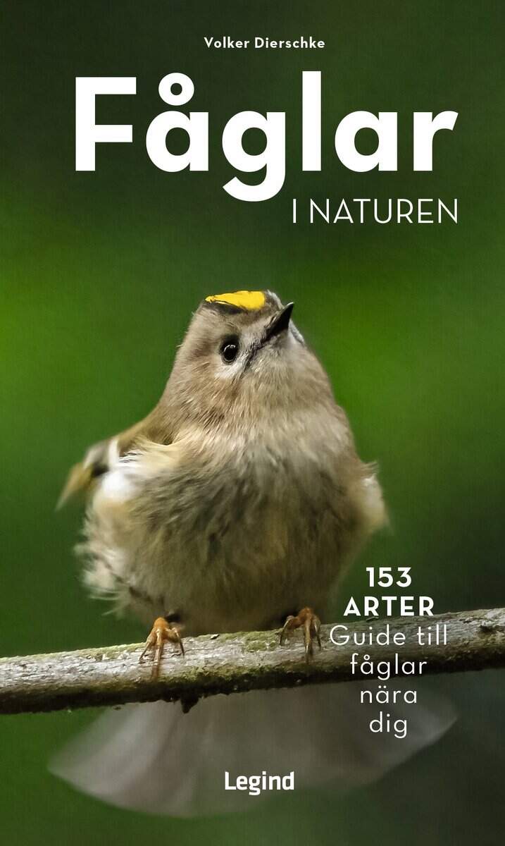 Volker Dierschke : Fåglar i naturen : 153 arter, guide till fåglar nära dig