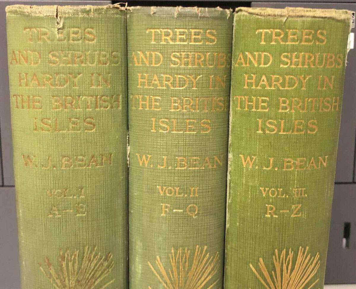 W J Bean : Trees and Shrubs hardy in the British isles I-III (komplett)