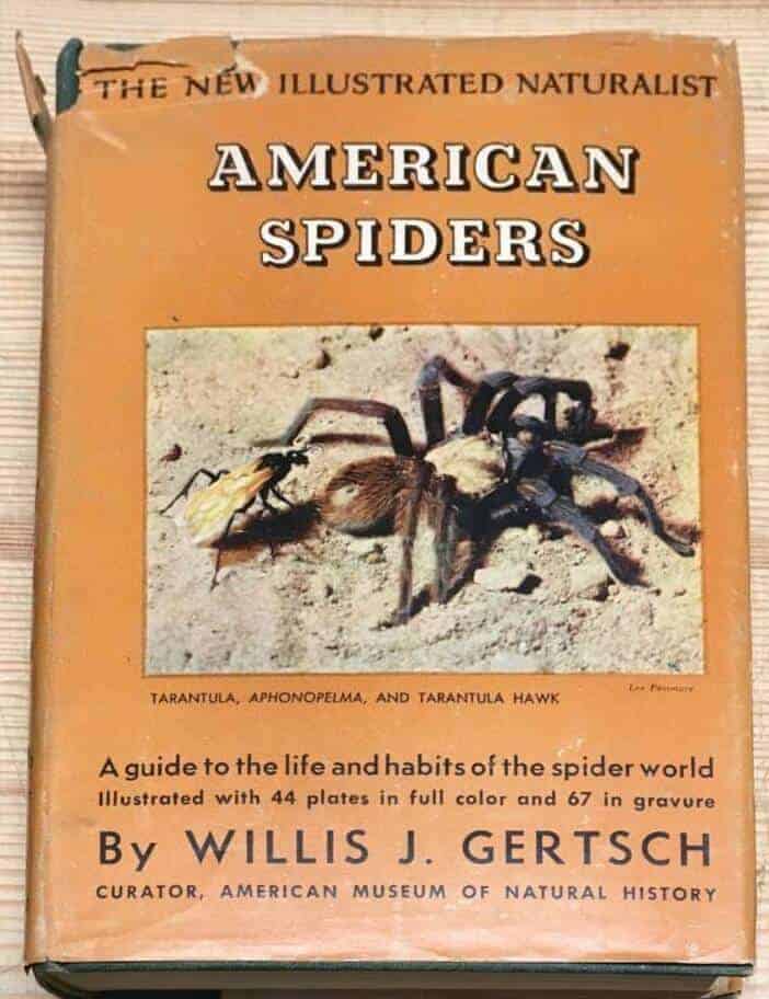 W J Gertsch : American Spiders (The New Illustrated Naturalist series)