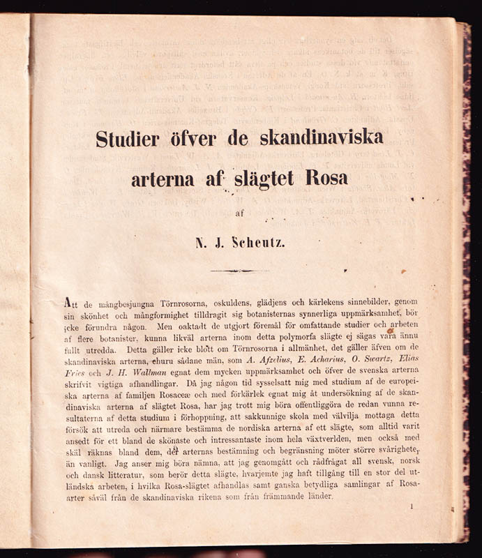 Wahlstedt, Lars Johan (1836-1917) ; Scheutz, Nils Johan Vilhelm (1836-1889) : Monografi öfver Sveriges och Norges characeer