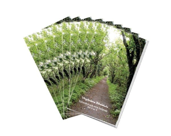 Wallgren, Peter ; Wallgren, Madeleine : Själavård och inre helande