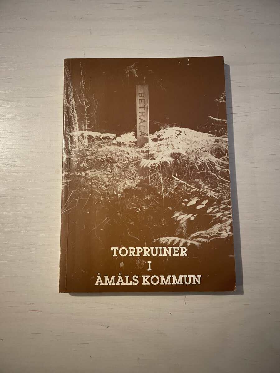 Wendel Eriksson : Torpruiner i Åmåls kommun
