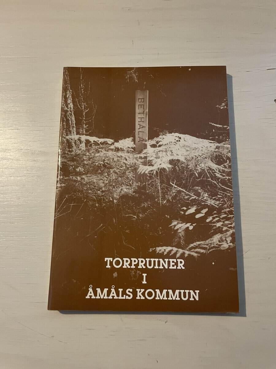 Wendel Eriksson : Torpruiner i Åmåls kommun