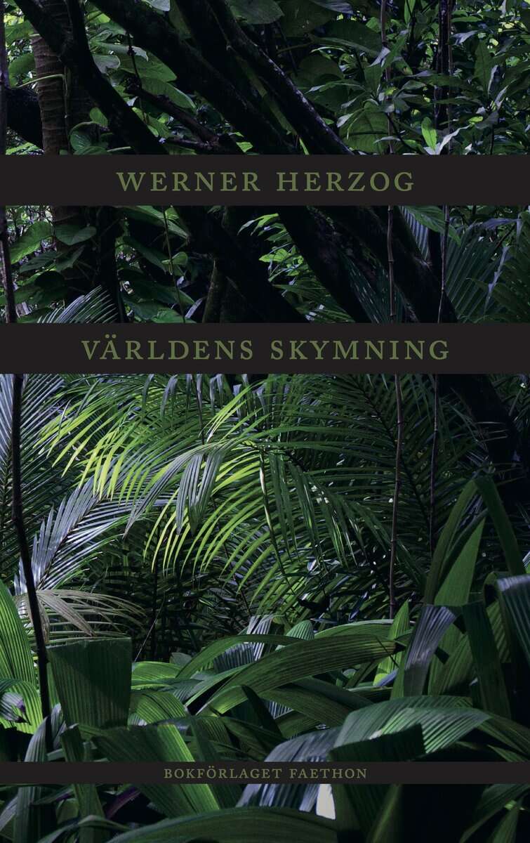 Werner Herzog : Världens skymning