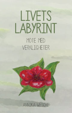 Wesche, Annika ; Wesche, Annika : Livets labyrint : möte med verkligheter