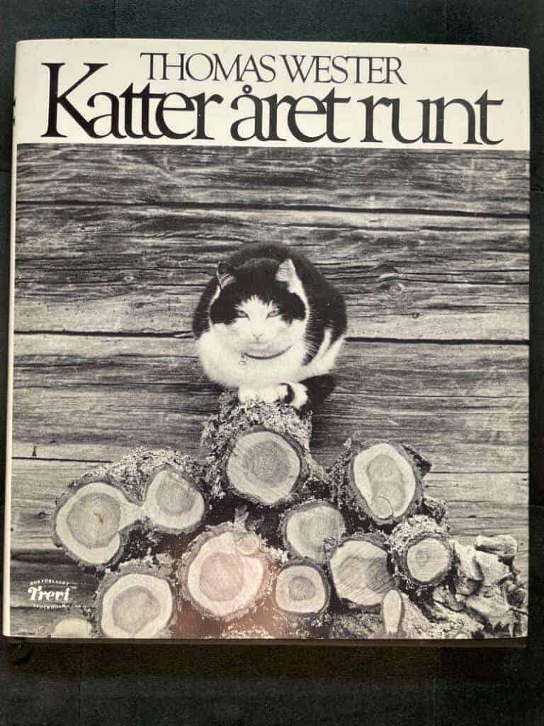 Wester, Thomas ; Kajenn : Katter året runt
