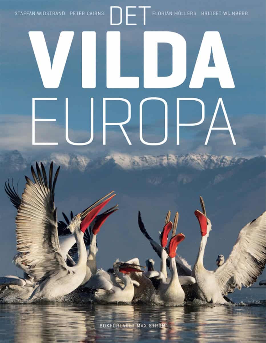 Widstrand, Staffan ; Cairns, Peter ; Möllers, Florian ; Wijnberg, Bridget : Det vilda Europa