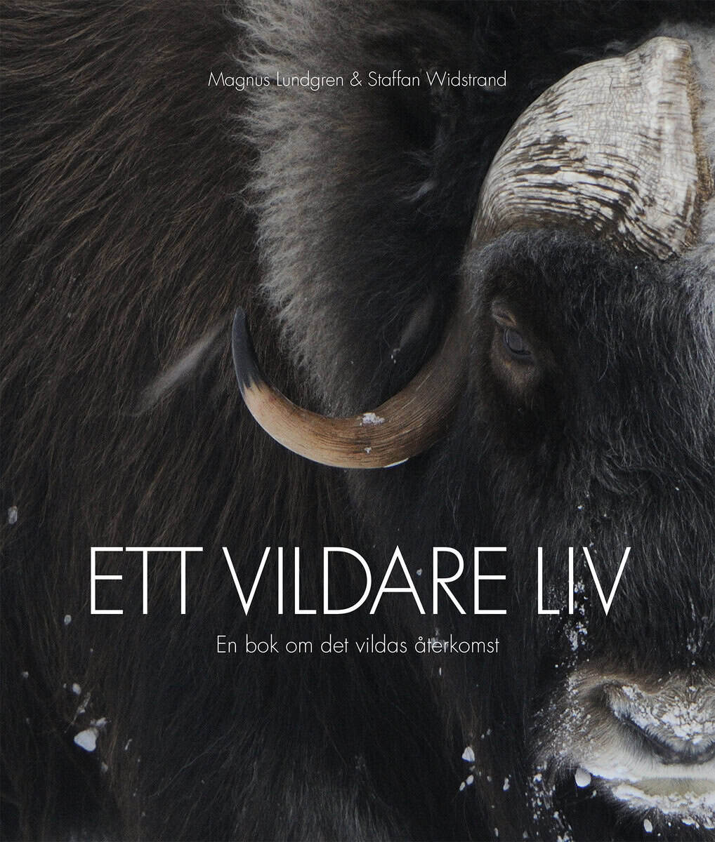 Widstrand, Staffan ; Lundgren, Magnus : Ett vildare liv : en bok om det vildas återkomst