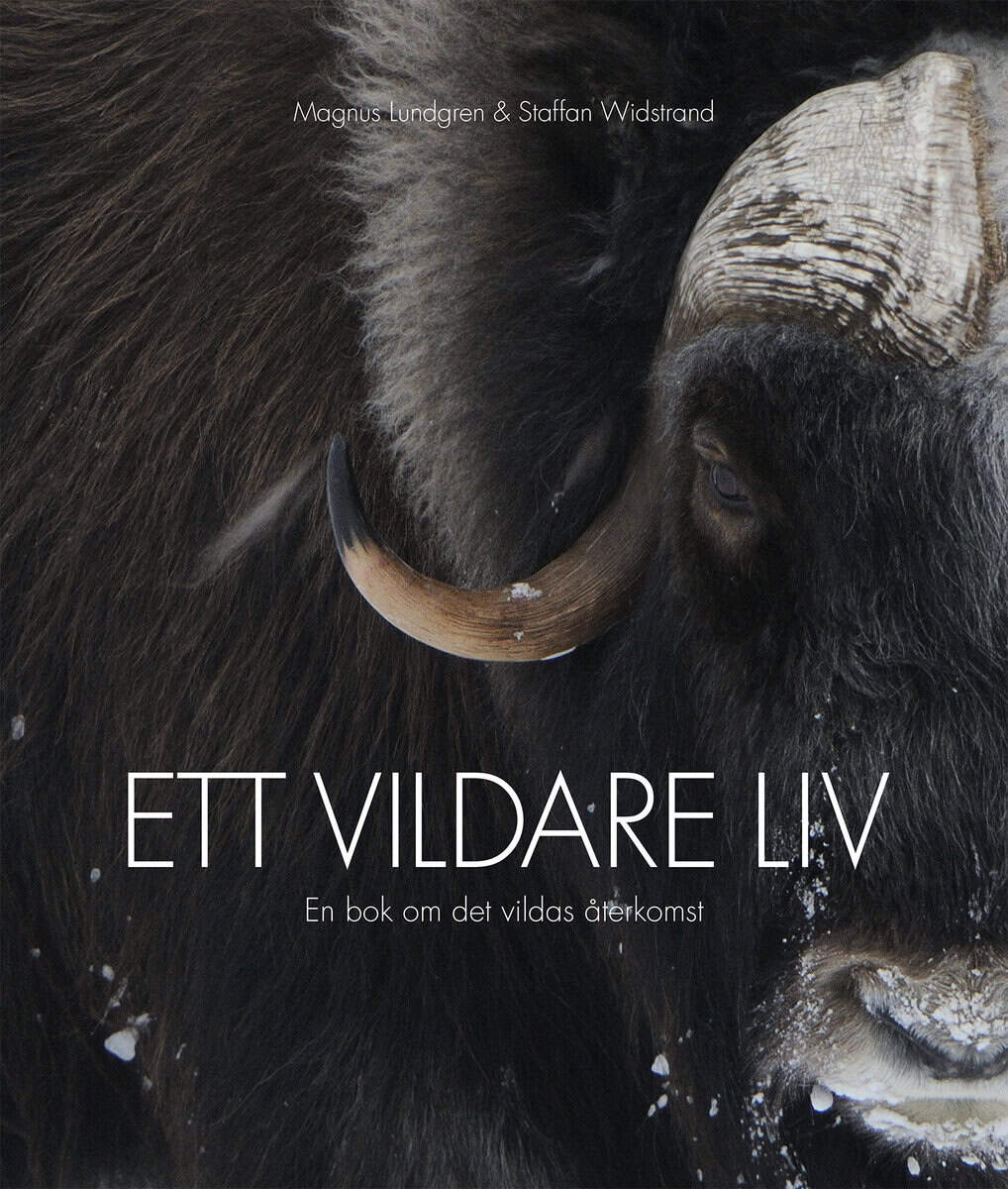 Widstrand, Staffan ; Lundgren, Magnus : Ett vildare liv : en bok om det vildas återkomst