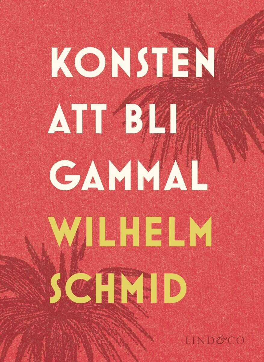 Wilhelm Schmid : Konsten att bli gammal