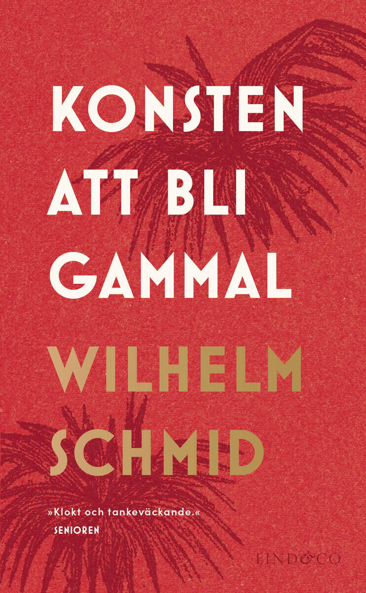 Wilhelm Schmid : Konsten att bli gammal