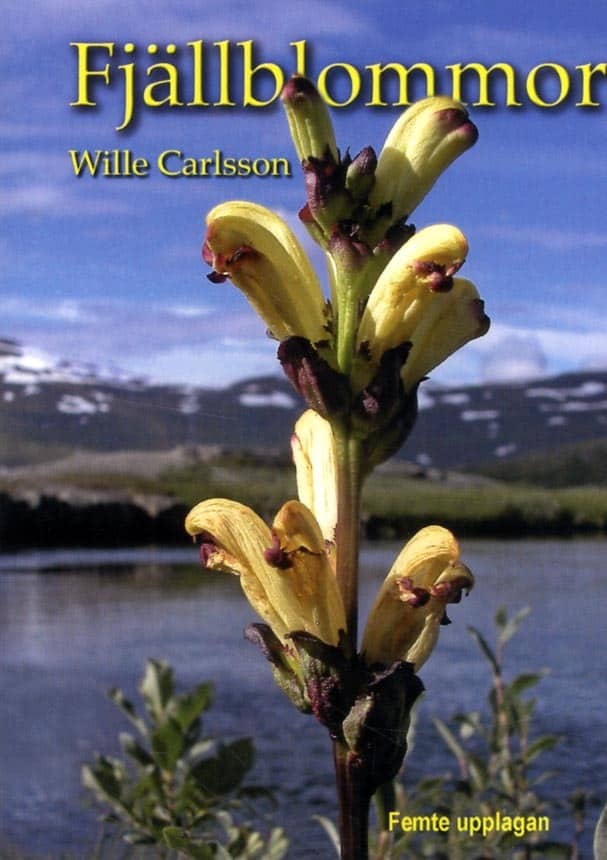 Wille Carlsson : Fjällblommor