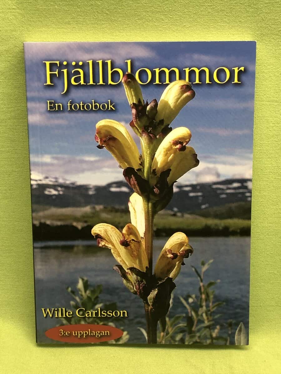 Wille Carlsson : Fjällblommor