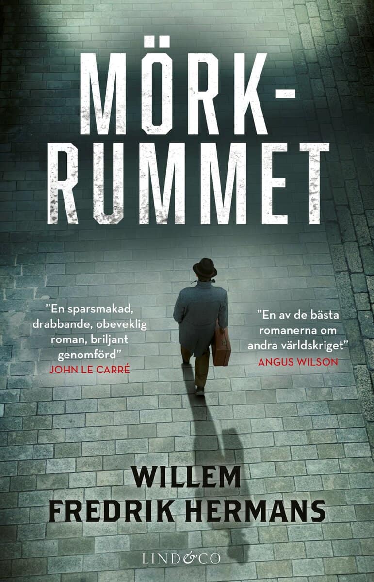 Willem Frederik Hermans : Mörkrummet
